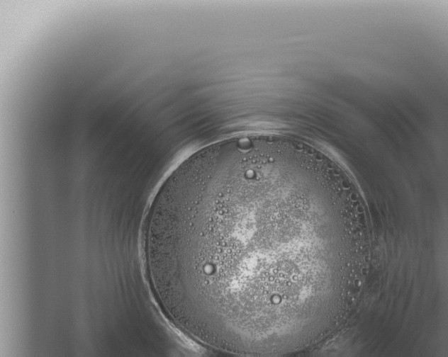 X0000059821243200510281723