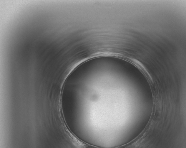 X0000059821244200510281723