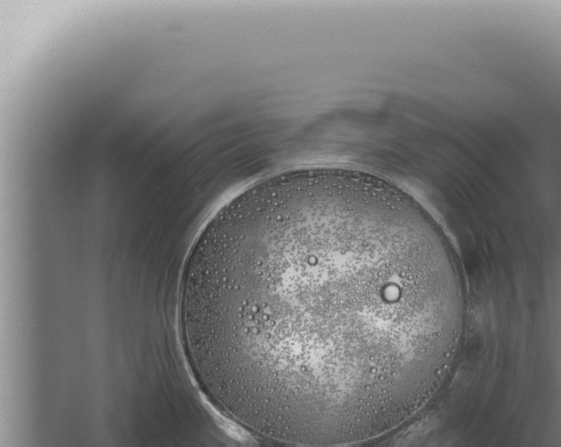 X0000059821245200510281723