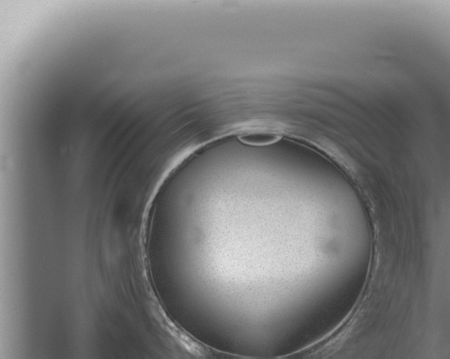 X0000059821248200510281723