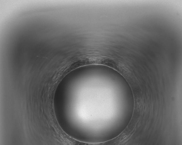 X0000059821249200510281722