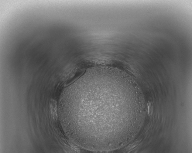 X0000059821251200510281722