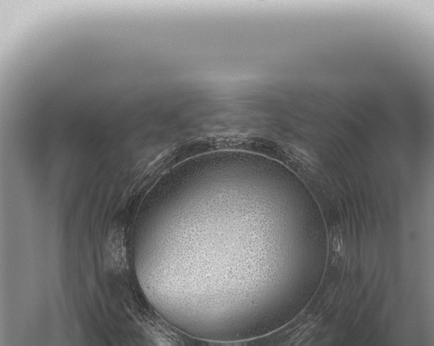 X0000059821252200510281722