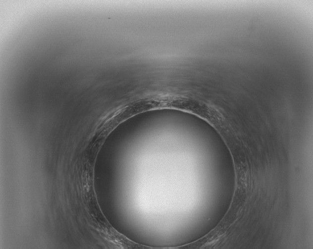 X0000059821253200510281722