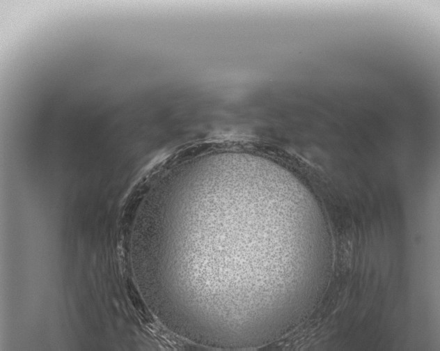 X0000059821254200510281722