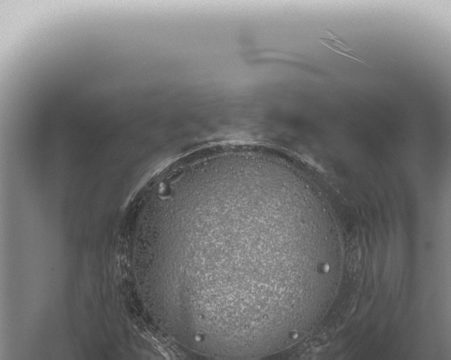 X0000059821255200510281722