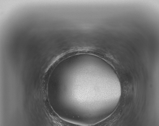 X0000059821256200510281722