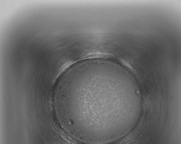 X0000059821259200510281722