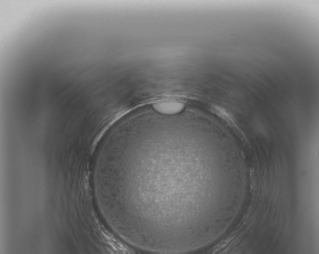 X0000059821260200510281722