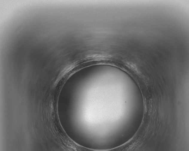 X0000059821261200510281722