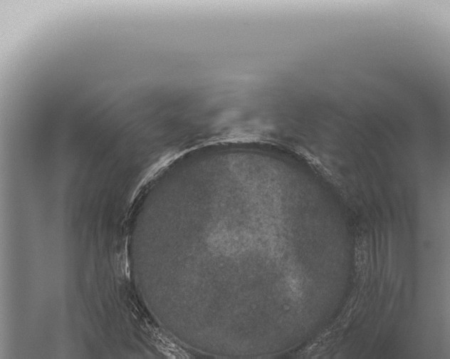 X0000059821262200510281722