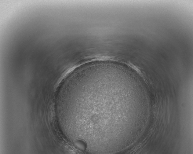 X0000059821263200510281722