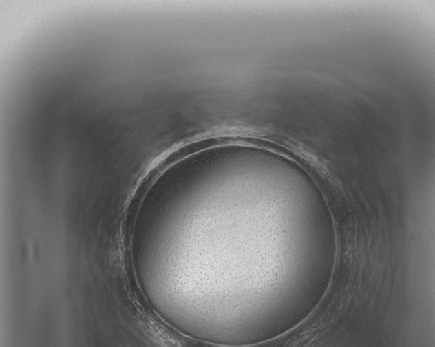 X0000059821264200510281722