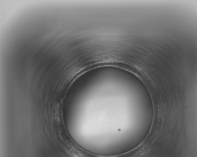 X0000059821265200510281722