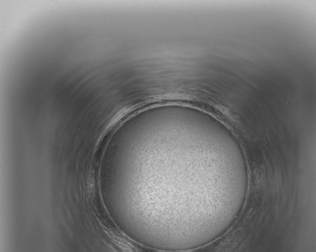 X0000059821266200510281722