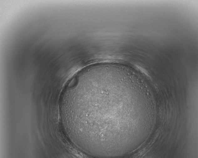 X0000059821267200510281722