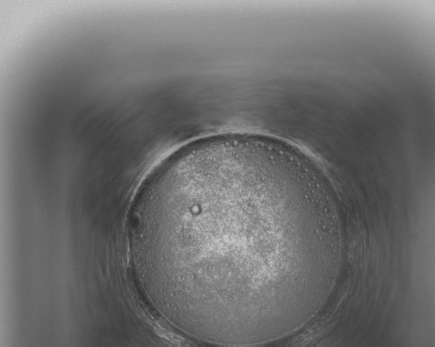 X0000059821271200510281722