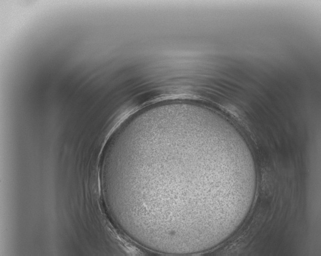 X0000059821274200510281722