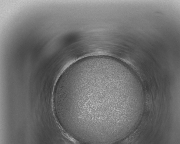 X0000059821278200510281722