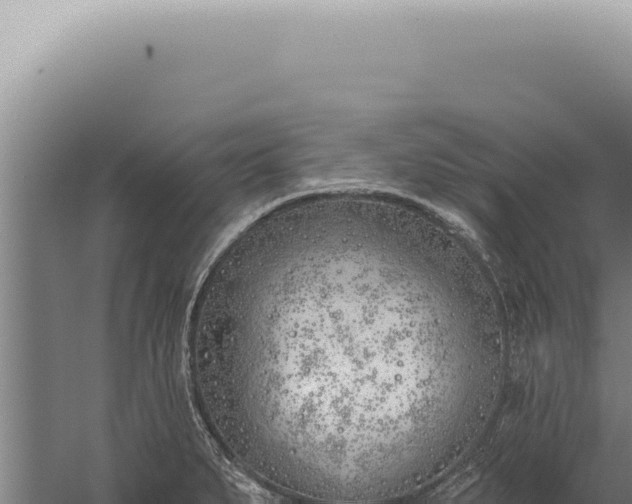 X0000059821279200510281722