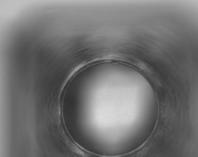 X0000059821280200510281722