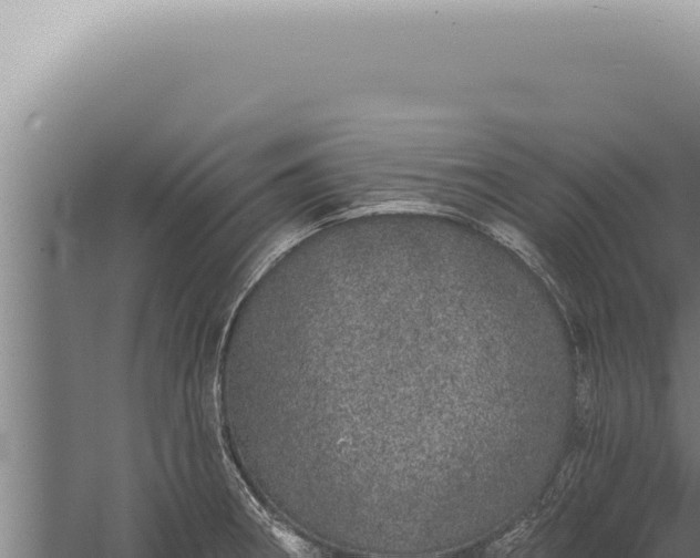 X0000059821282200510281722