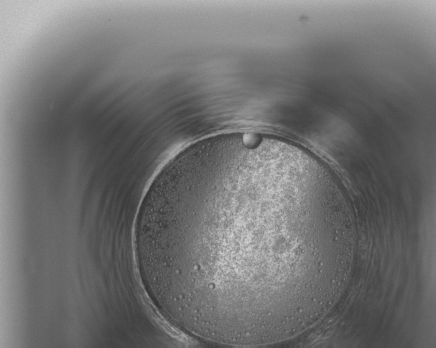 X0000059821283200510281722