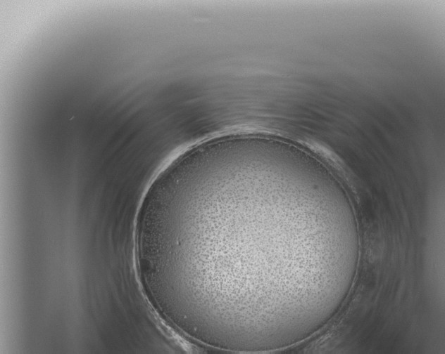 X0000059821286200510281722