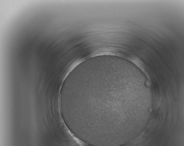 X0000059821290200510281722