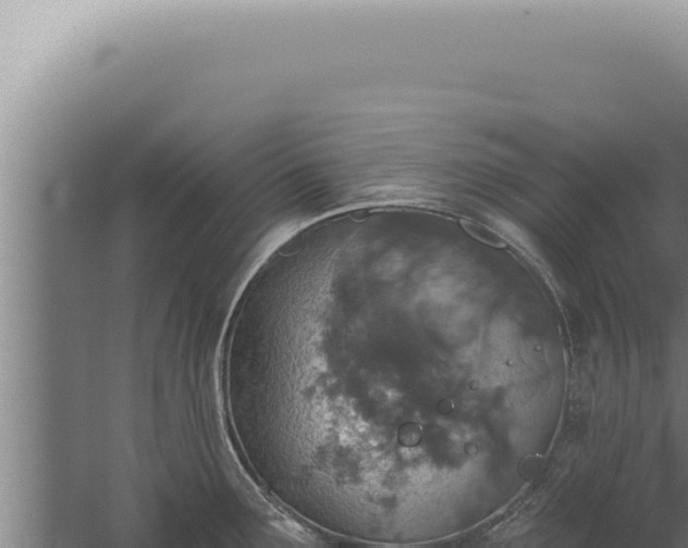 X0000059821291200510281722