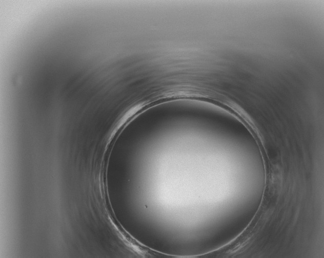 X0000059821293200510281722