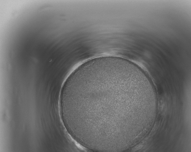 X0000059821294200510281722