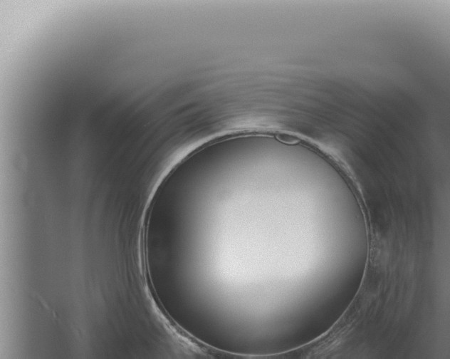 X0000059821295200510281722