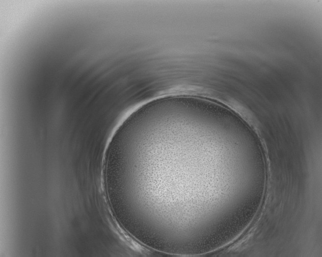 X0000059821296200510281722