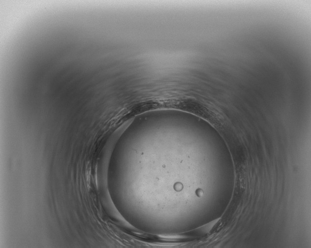 X0000059821298200510281721