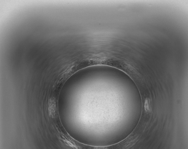 X0000059821299200510281721