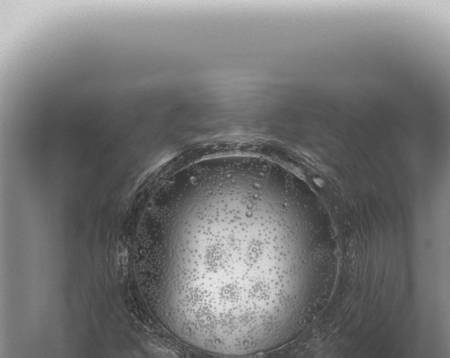 X0000059821302200510281721