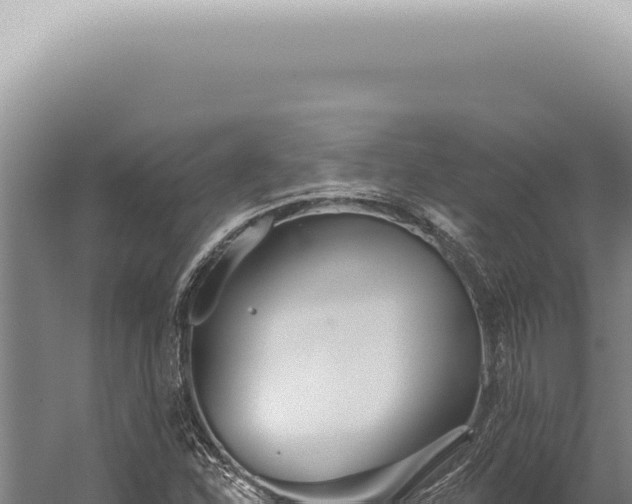 X0000059821310200510281721