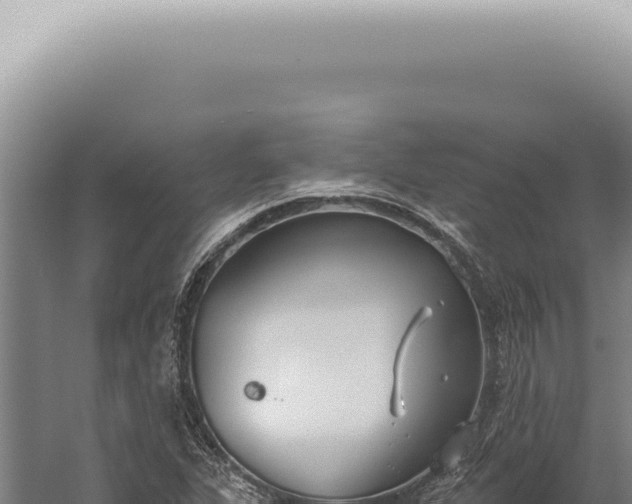 X0000059821311200510281721