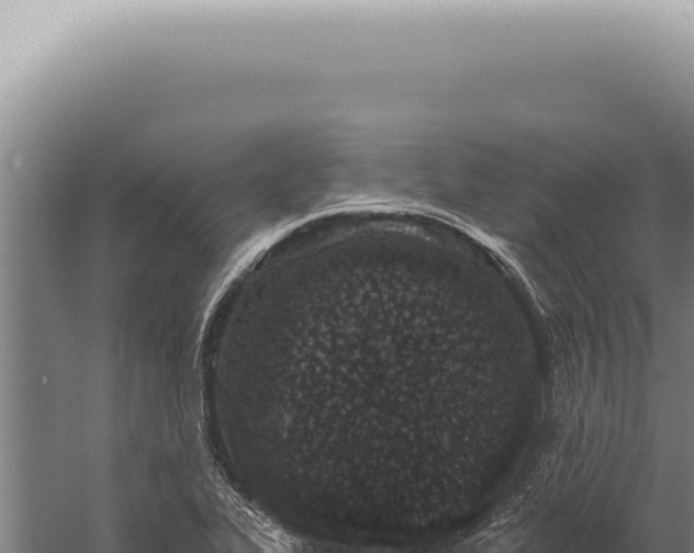 X0000059821319200510281721