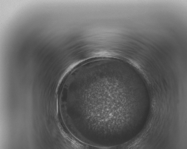 X0000059821323200510281721