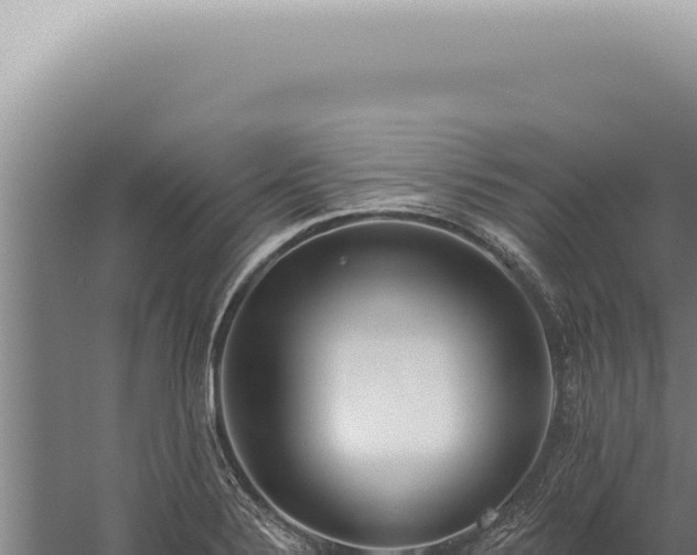 X0000059821324200510281721