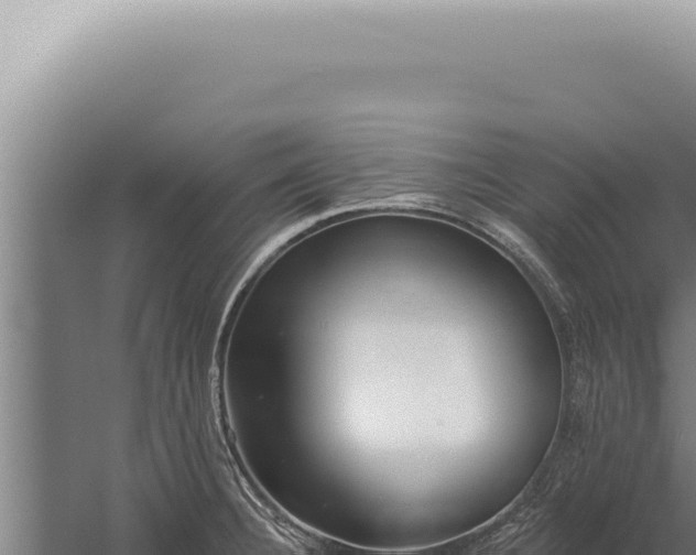 X0000059821332200510281721