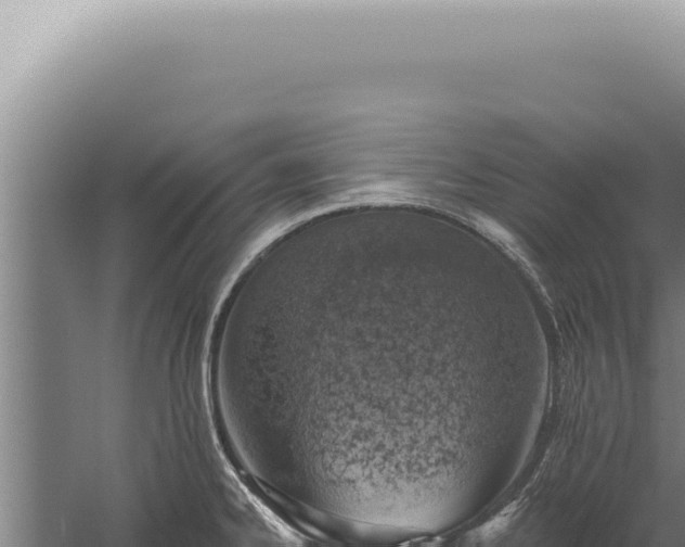 X0000059821334200510281721