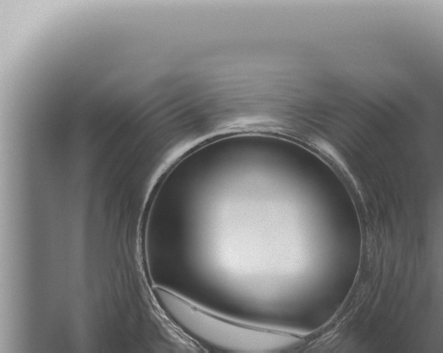 X0000059821336200510281721