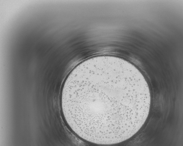 X0000059821338200510281721