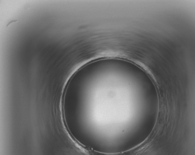 X0000059821343200510281721