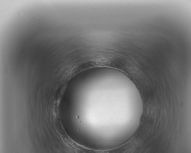 X0000059821346200510281721