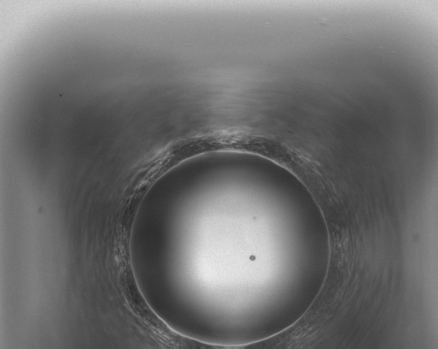 X0000059821349200510281721