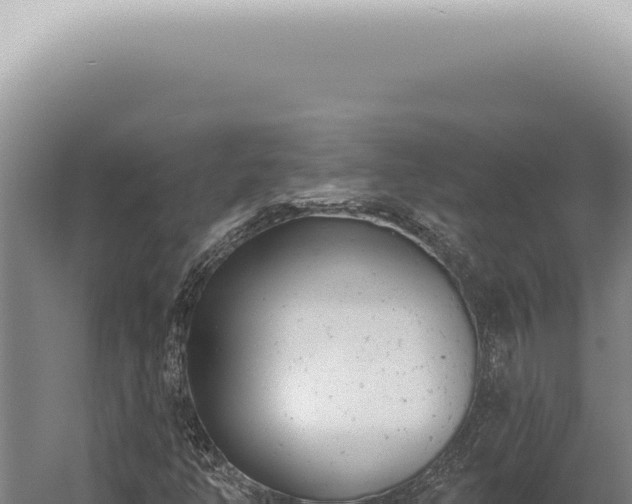 X0000059821350200510281721